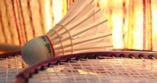badminton-166404_960_720